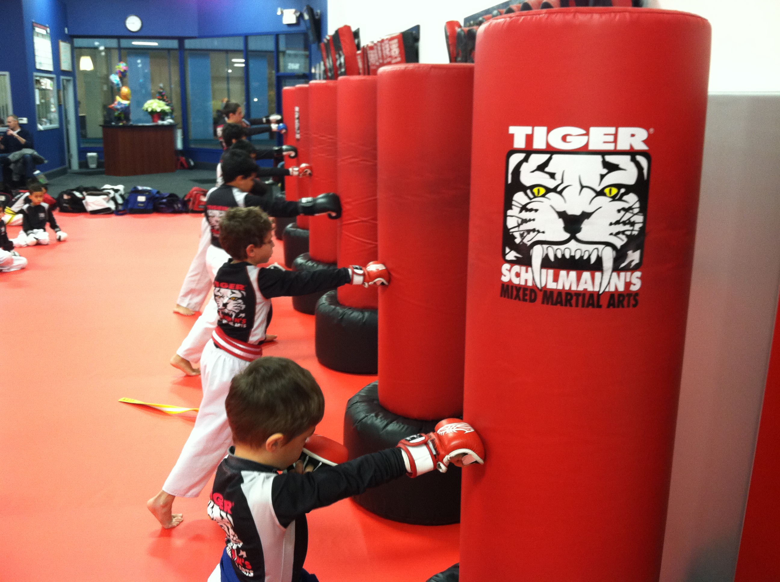 Tiger Schulmann's Martial Arts | Children Punching