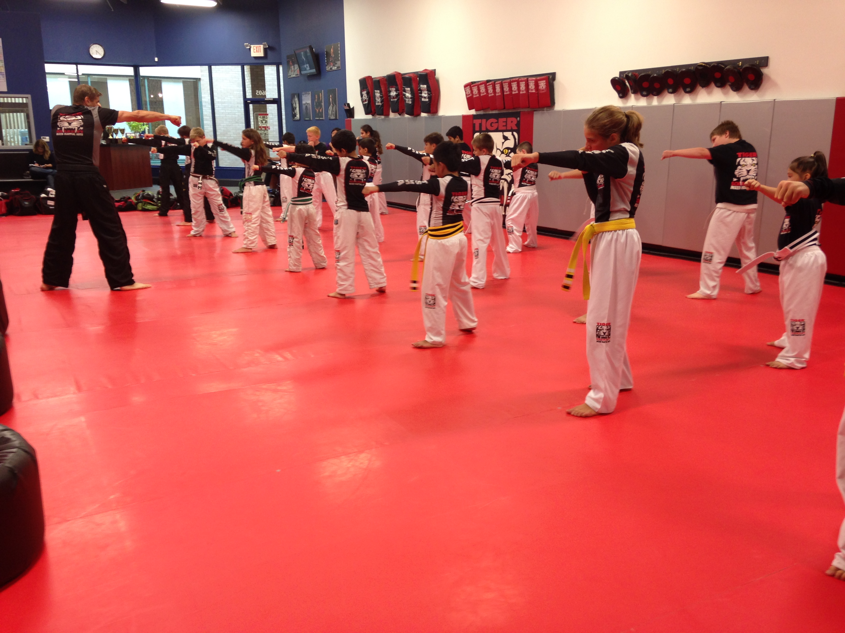 Mixed martial arts classes Archives Tiger Schulmann's Martial Arts