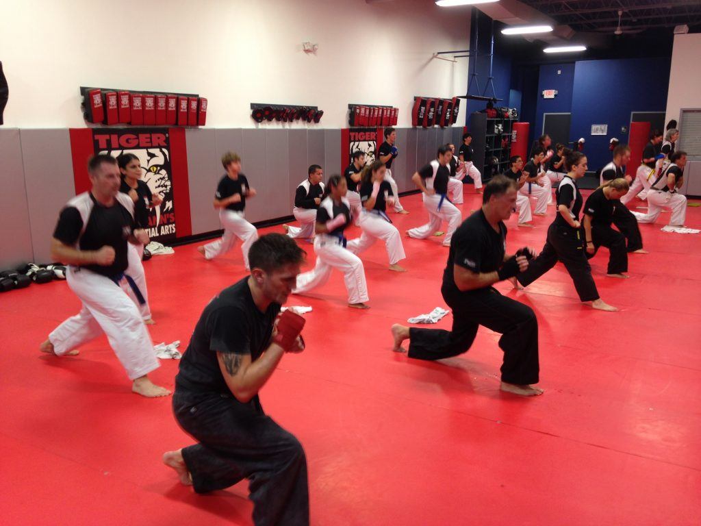 Martial Arts, Fitness for Adults and Confidence for Kids