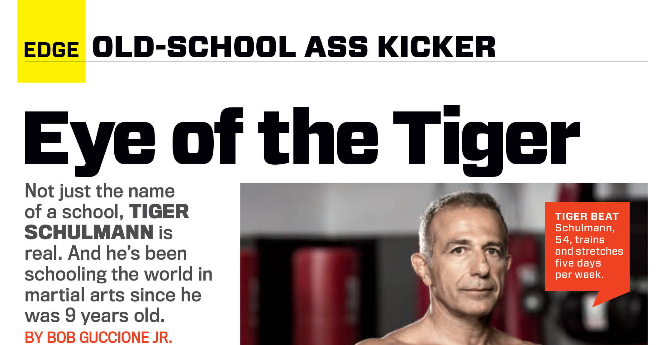 Tiger Schulmann's Martial Arts | Magazine Article