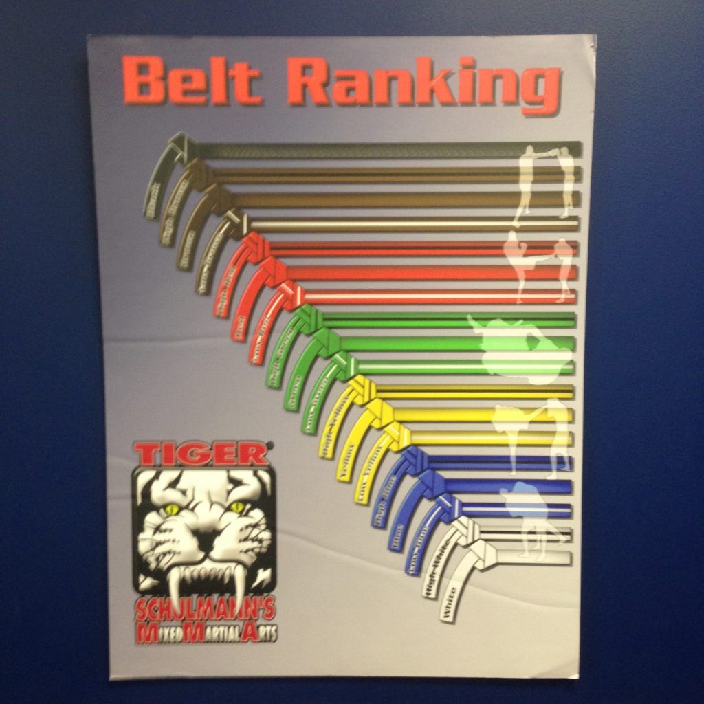 Why do we have a martial arts ranking system?