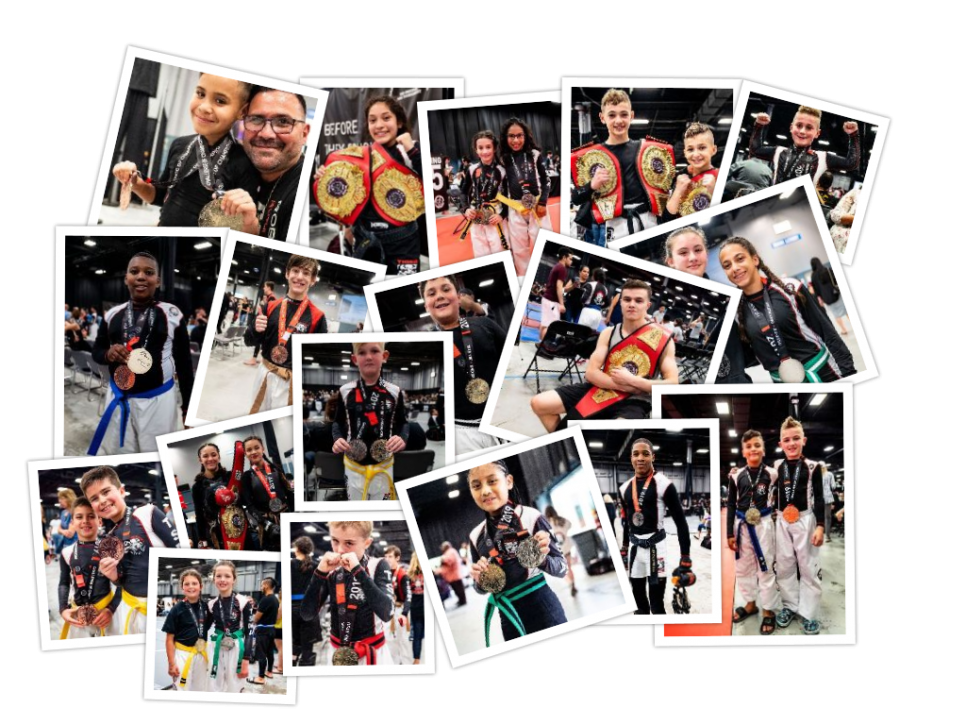 Tiger Schulmann's Martial Arts | Champion Collage