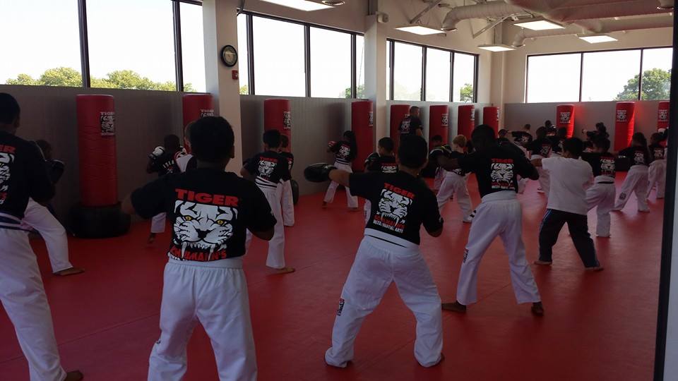 Tiger Schulmann's Martial Arts | Tiger Schulmann's Martial Arts | Children Training