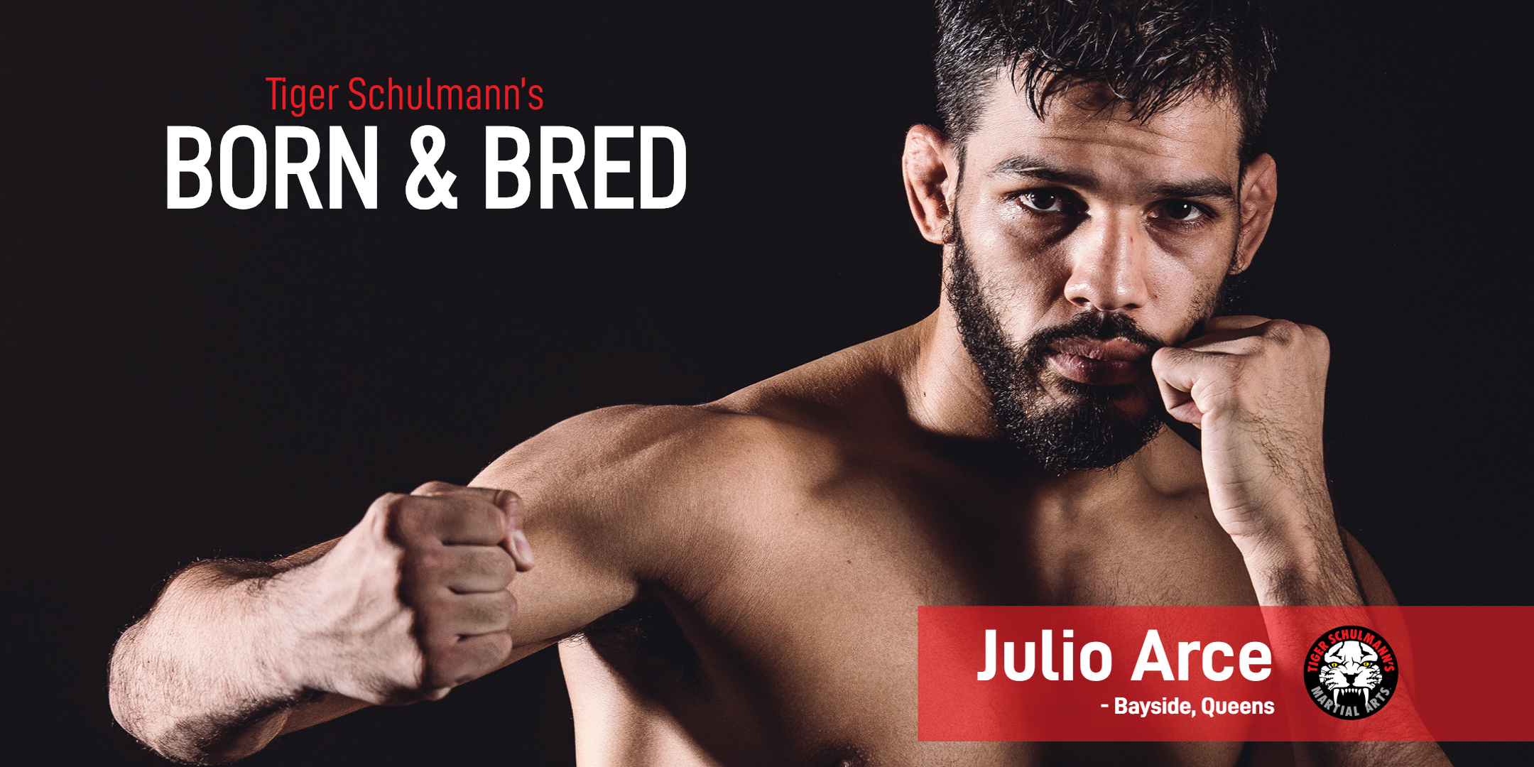 Tiger Schulmann's Martial Arts | Julio Arce
